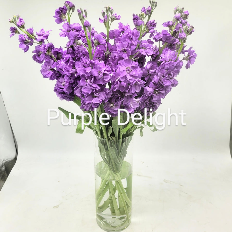 Purple Delight Bouquet