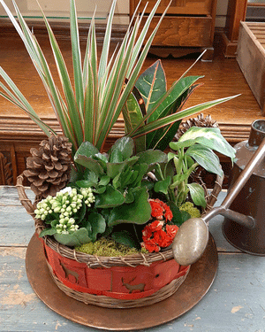 Winter Holiday Potted Plant Basket