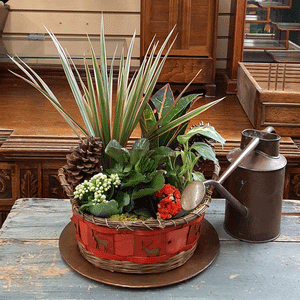 Winter Holiday Potted Plant Basket