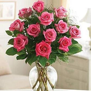 One Dozen Pink Rose Bouquet With Baby's Breath