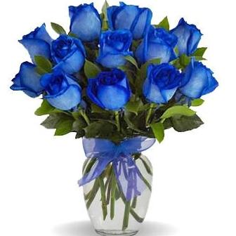 Blue Rose Arrangement (1 dozen blue roses in vase)