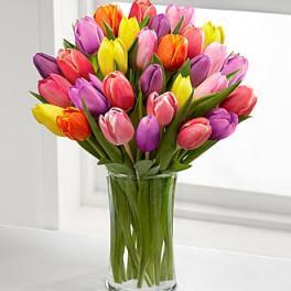 The Bright Spring Bouquet (20 fresh cut tulips)