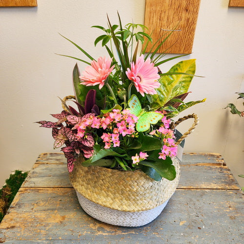 Blooming Garden 3 (Potted Plants)