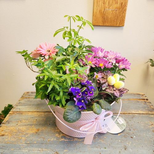 Blooming Garden 2 (Potted Plants)