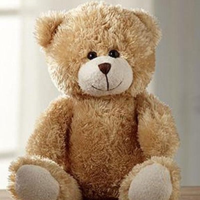 Ultra Adorable Teddy Bear Soft Toy