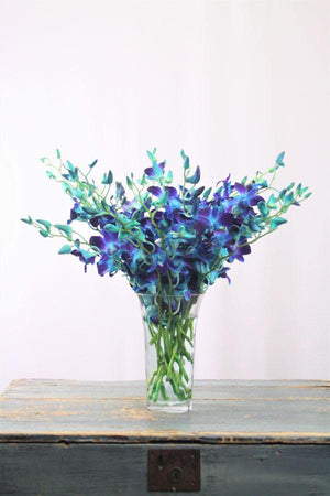 Valentine Blue Orchid Bouquet